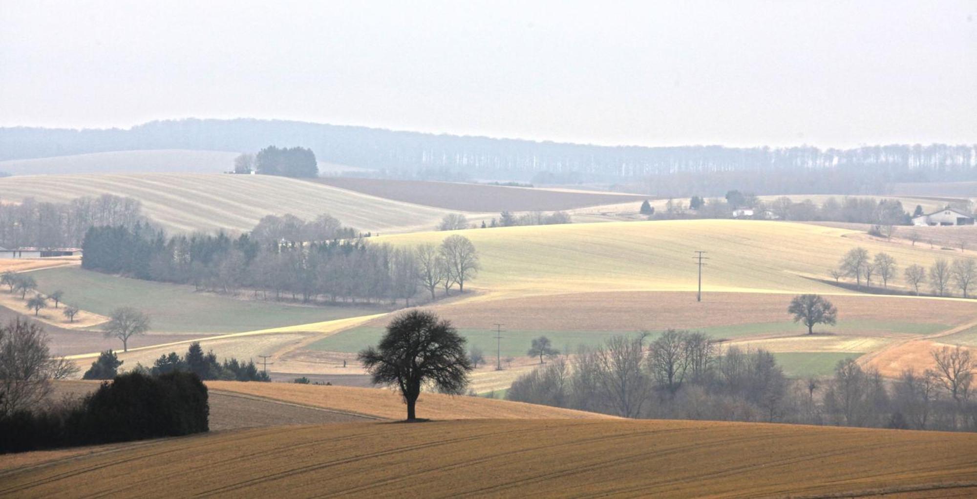 Ferienwohnung Jung Und Lind Bretten Dış mekan fotoğraf
