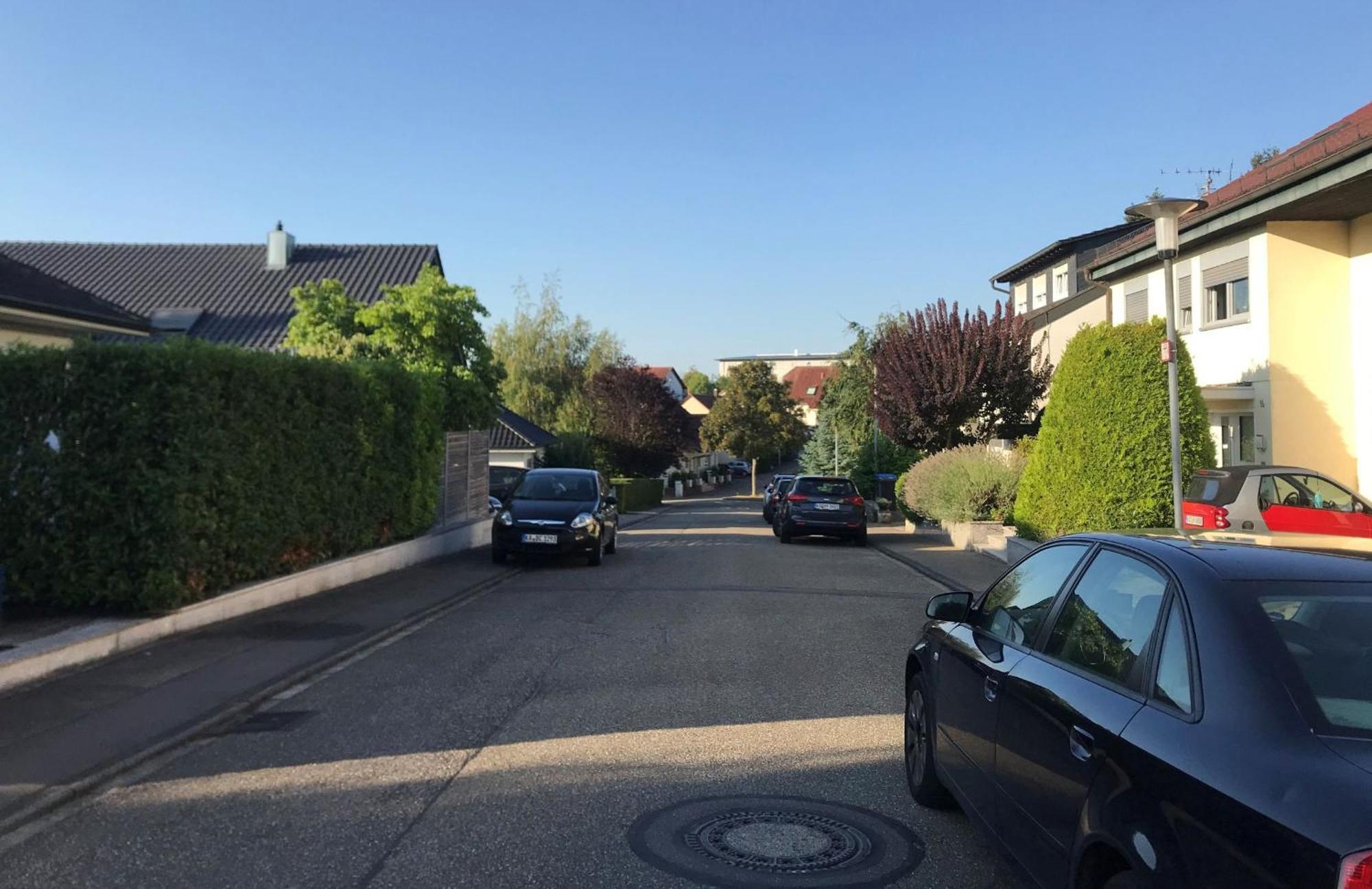 Ferienwohnung Jung Und Lind Bretten Dış mekan fotoğraf